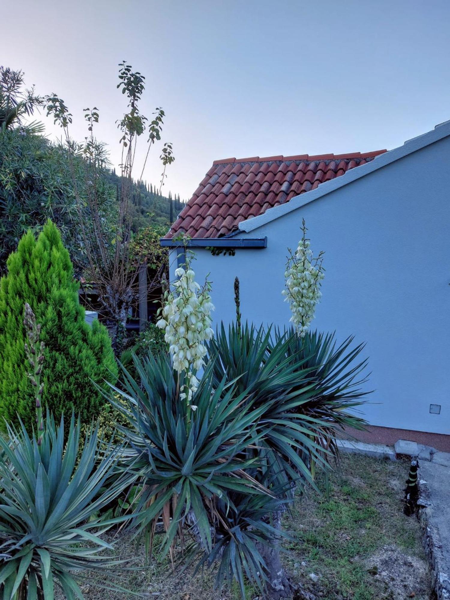 Holiday Home Sunrise Gruda ภายนอก รูปภาพ